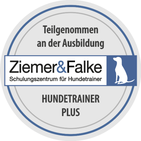 https://www.ziemer-falke.de/